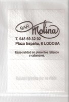/album/fotogaleria-lodosa/bar-molina-2-jpg/